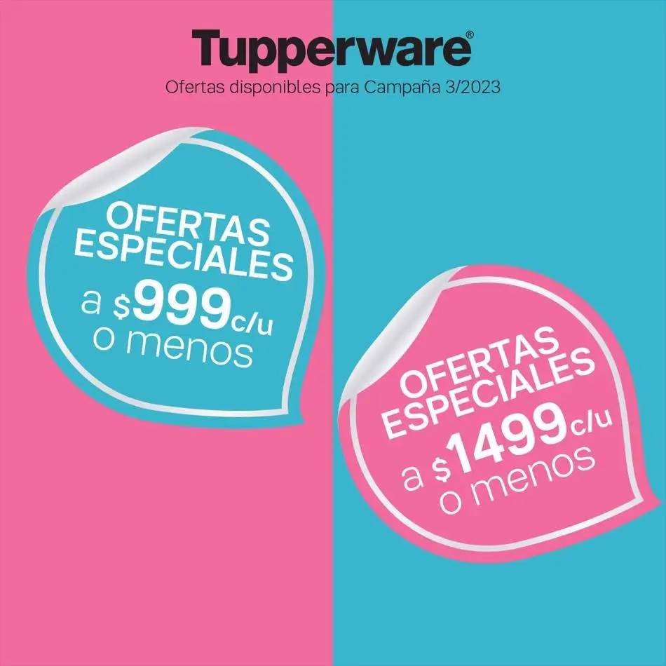 C-03  Ofertas Especiales