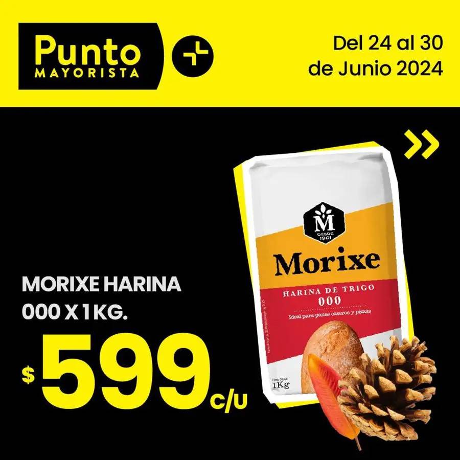 Ofertas Punto Mayorista