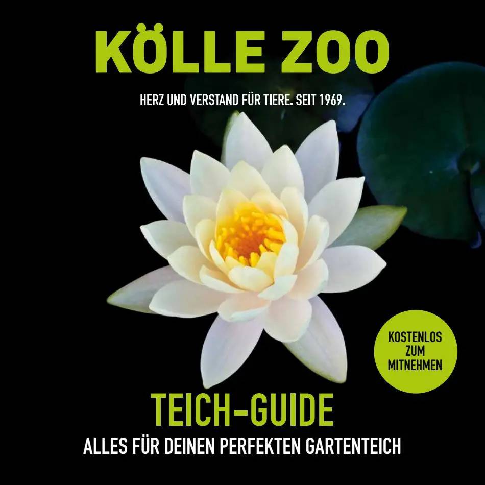 TEICH-GUIDE 2022