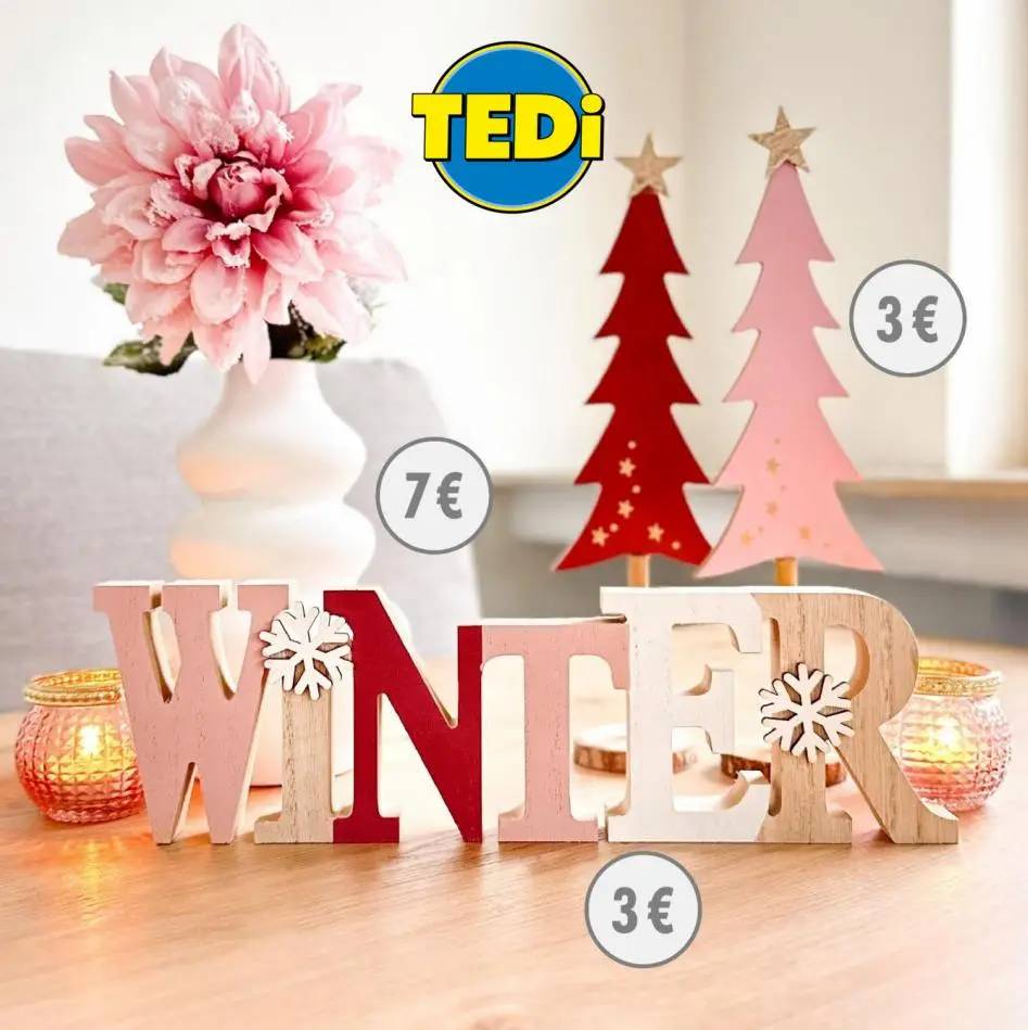 TEDi Winter