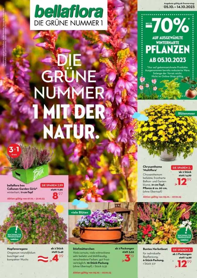 Die grüne nummer 1 mit der natur