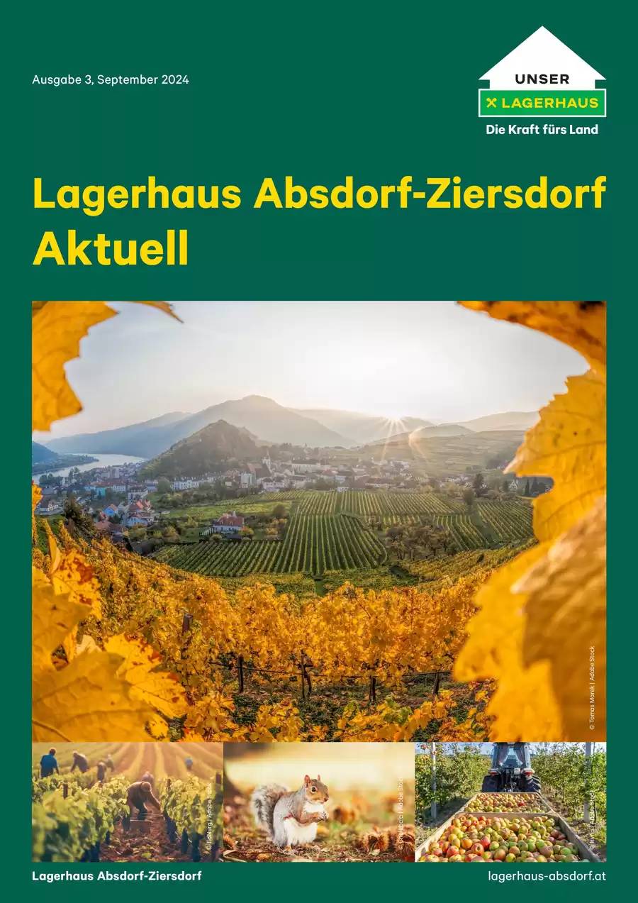 Mitgliederrundbrief Nr. 3/2024