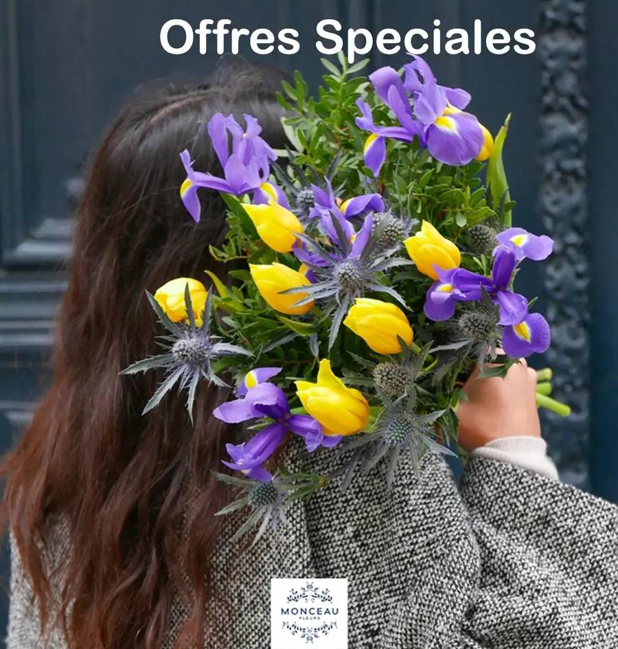 Offres Speciales Monceau Fleurs