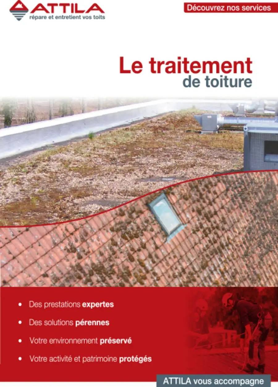 Le traitement de toiture