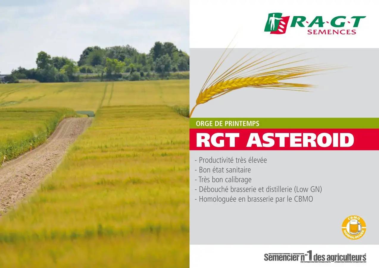 RGT ASTEROID