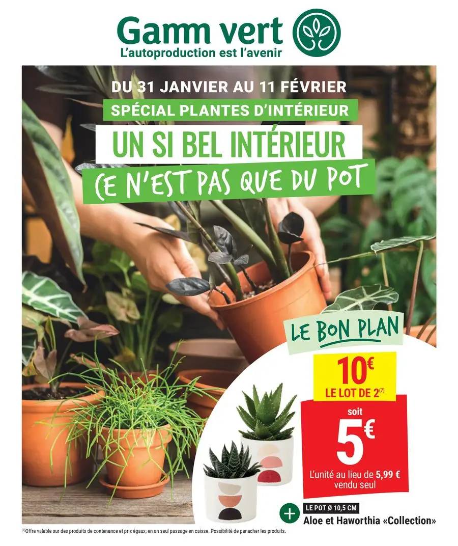 Spécial plantes d'interieur