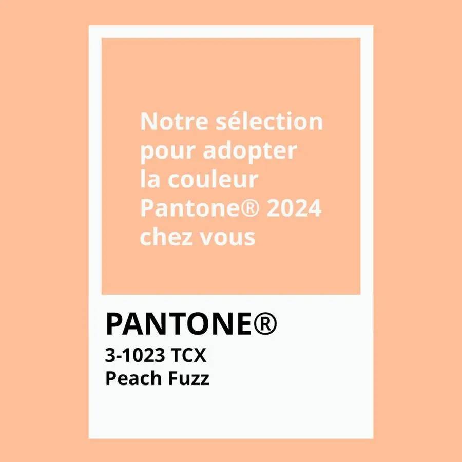 Adoptez la couleur de l’année Pantone® chez vous en découvrant notre sélection de produits dans la teinte Peach Fuzz !