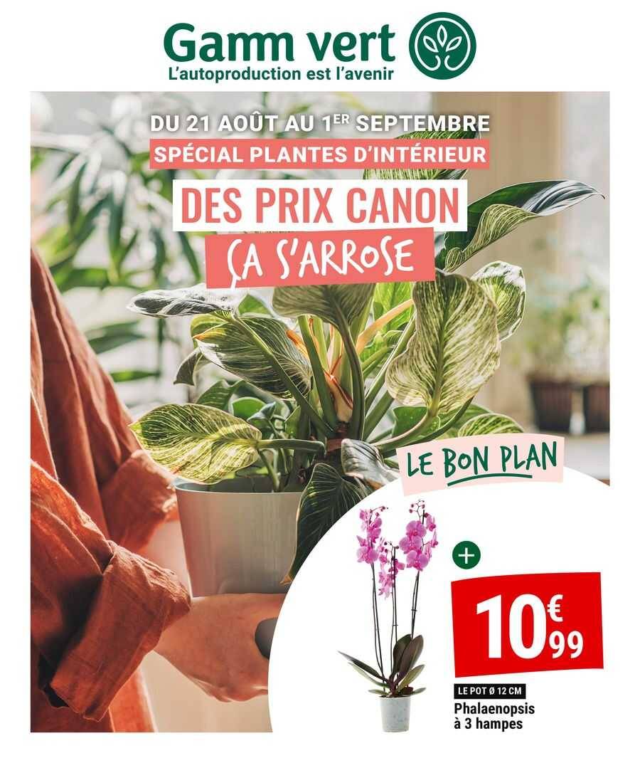 Spécial plantes d'intérieur