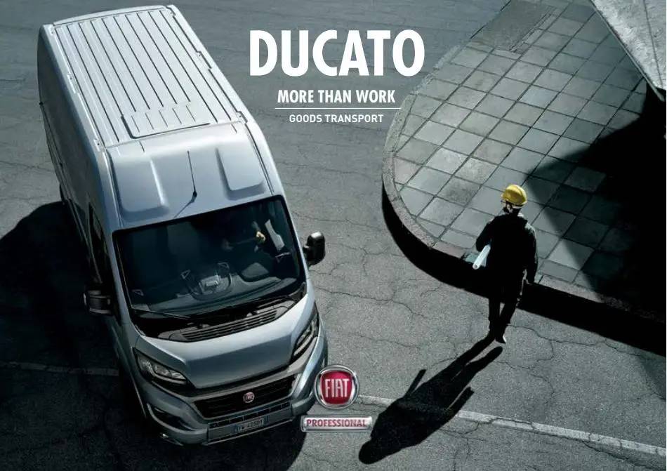 Ducato Merci