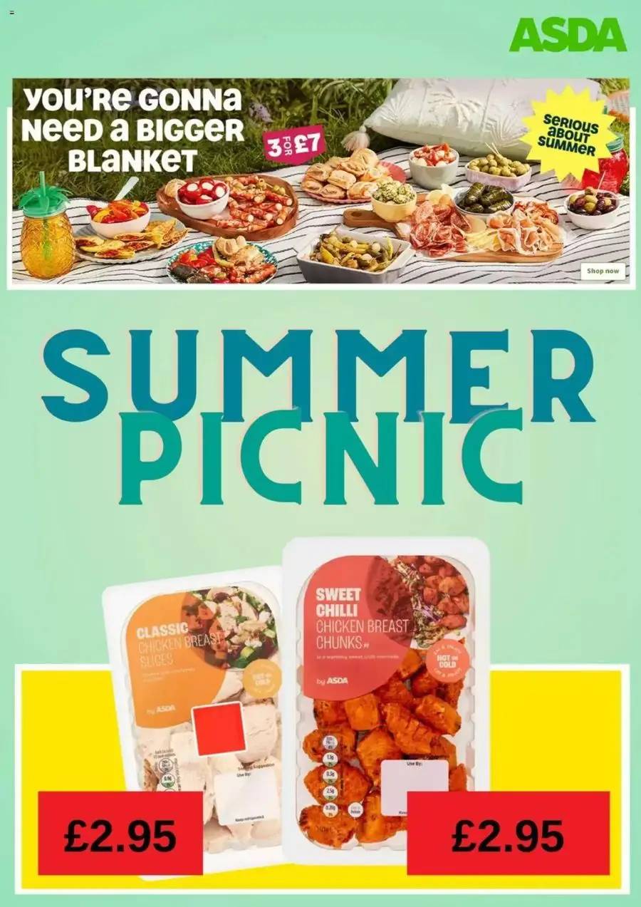 Summer Picnic