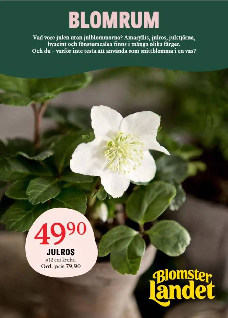 Blomsterlandet promociones !