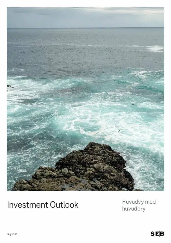 Investment Outlook