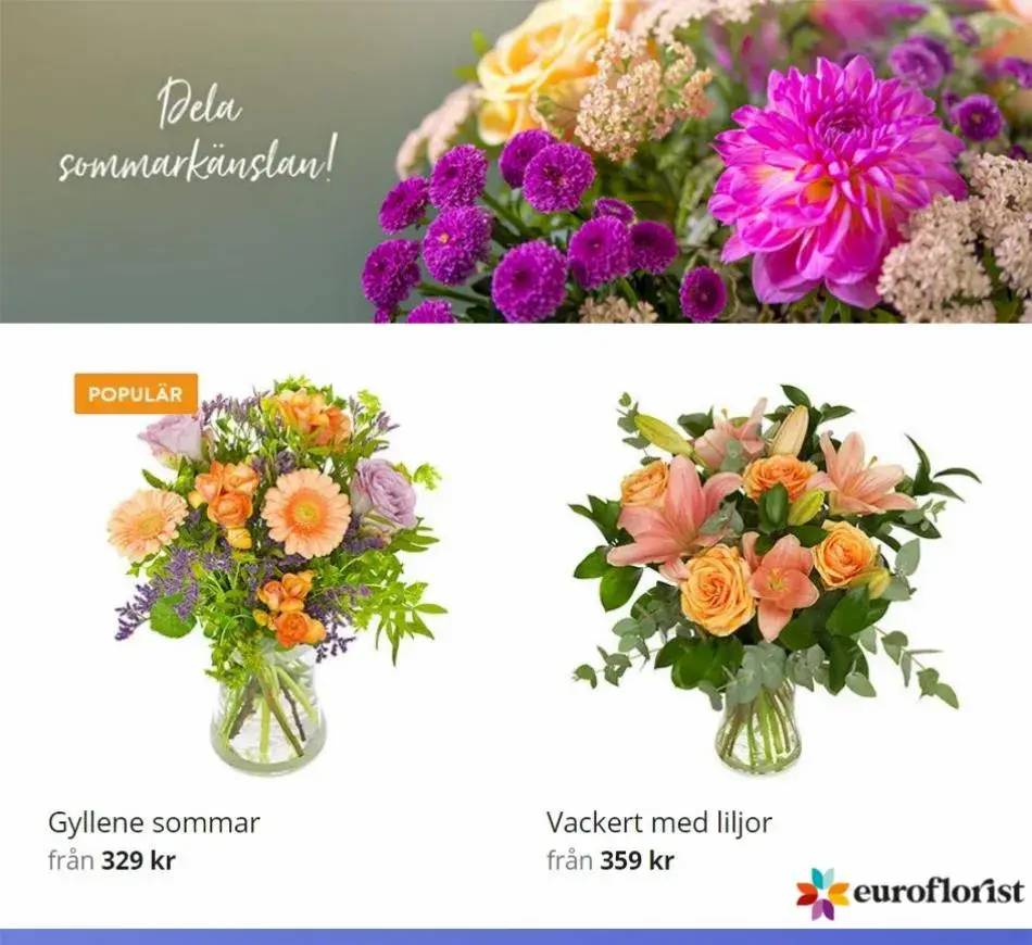 Sommarens vackraste blommor 