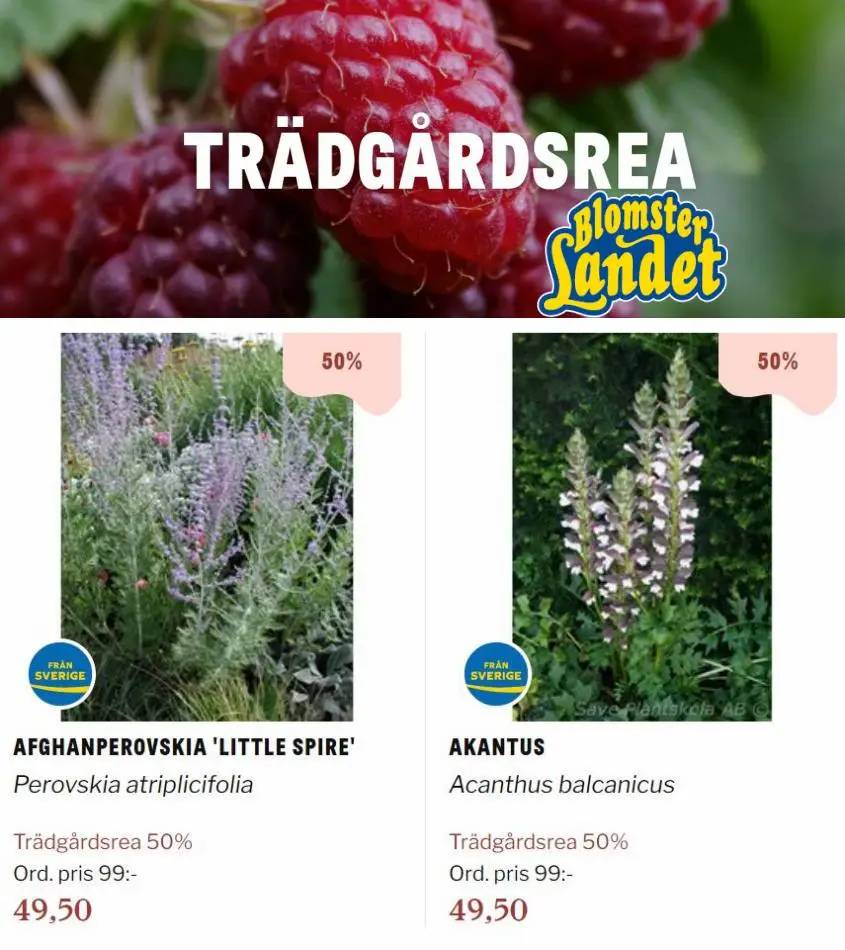 Trädgårdsrea