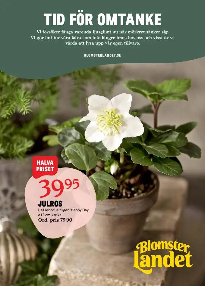 Blomsterlandet Erbjudande Aktuell Kampanj