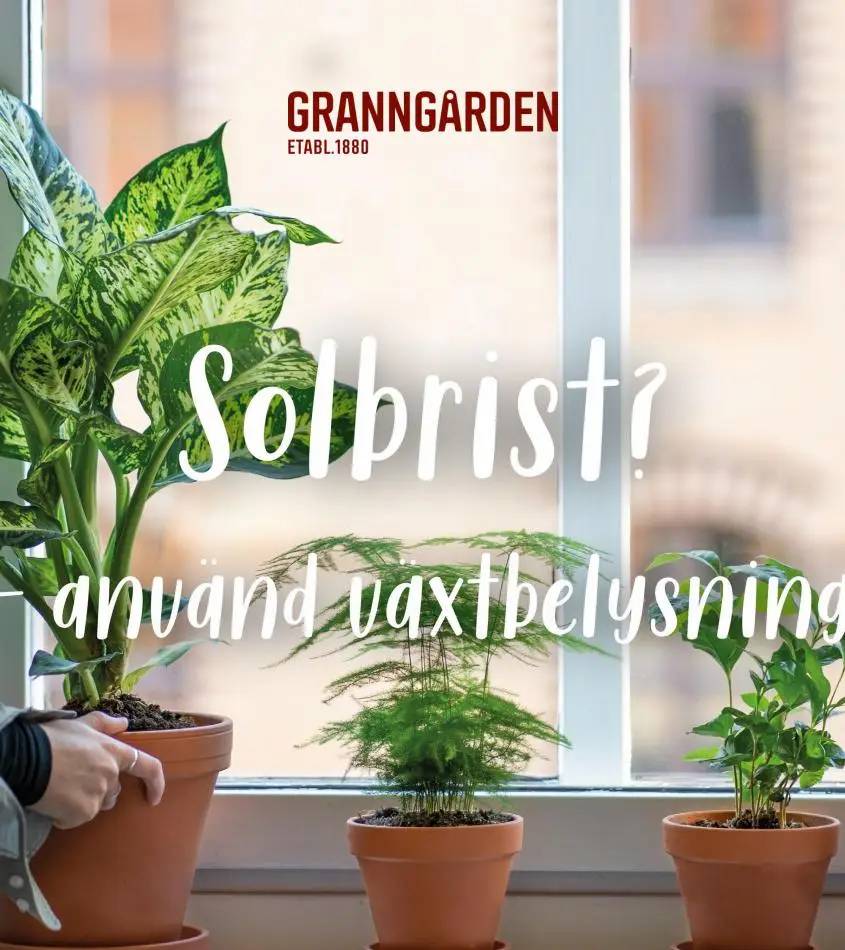 Granngården Erbjudande Kampanjer