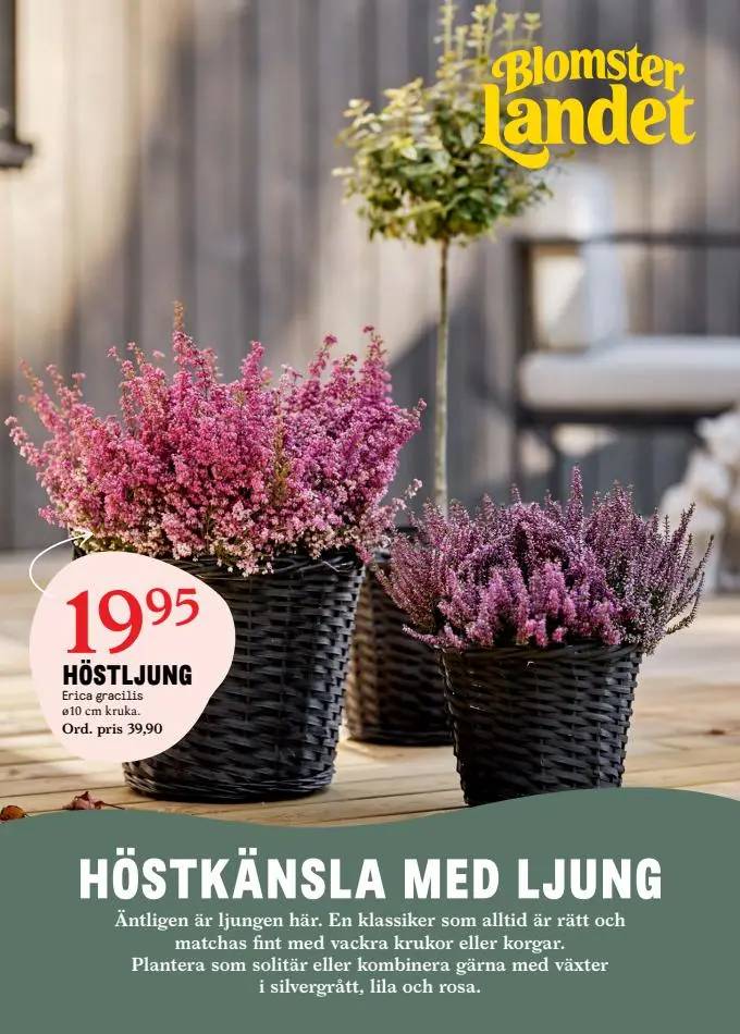 Blomsterlandet Erbjudande Aktuell Kampanj