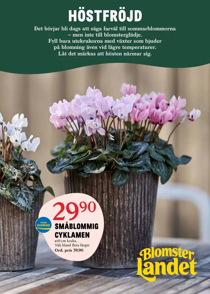 Blomsterlandet Erbjudande Aktuell Kampanj