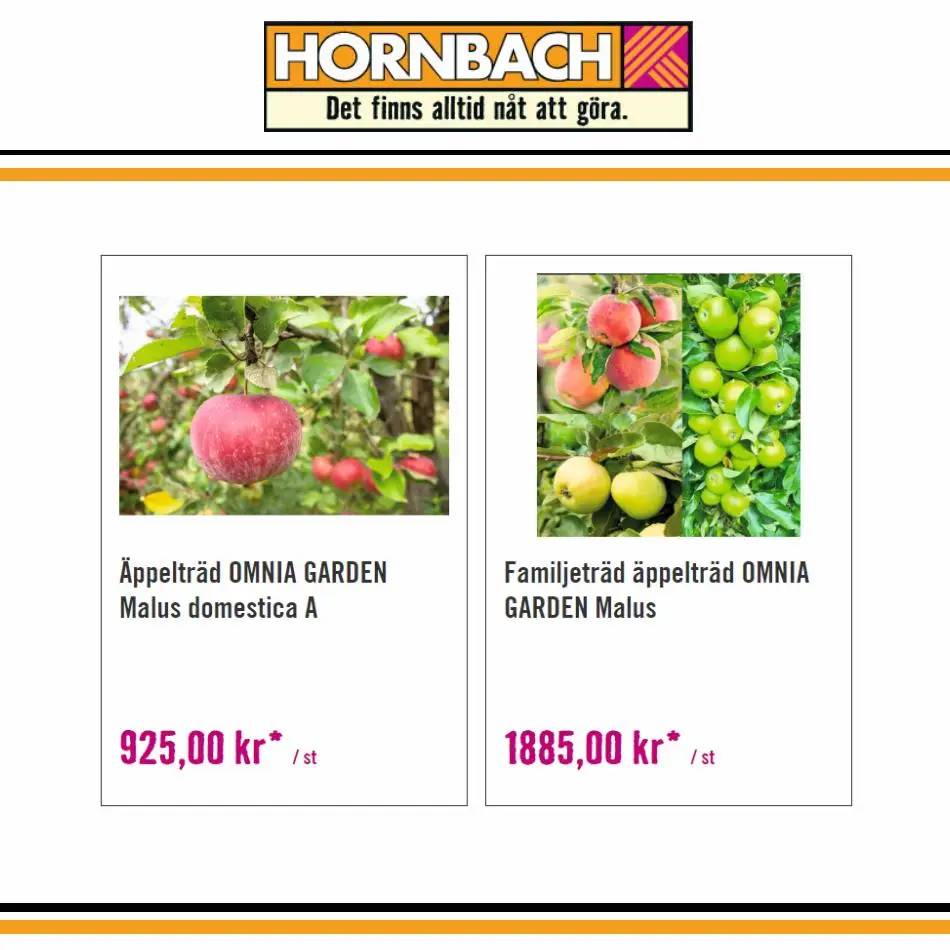 Hornbach